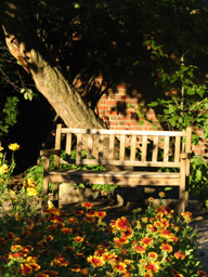 Bench in Peabody Garden